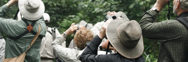 Eine Gruppe Menschen stehen im Wald und schauen durch ein Fernglas nach oben.