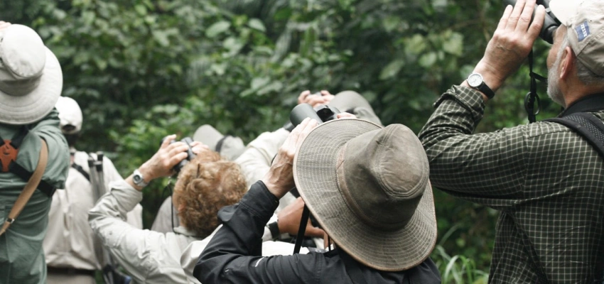 Eine Gruppe Menschen stehen im Wald und schauen durch ein Fernglas nach oben.
