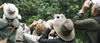Eine Gruppe Menschen stehen im Wald und schauen durch ein Fernglas nach oben.