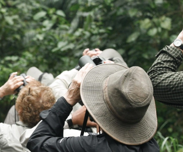 Eine Gruppe Menschen stehen im Wald und schauen durch ein Fernglas nach oben.