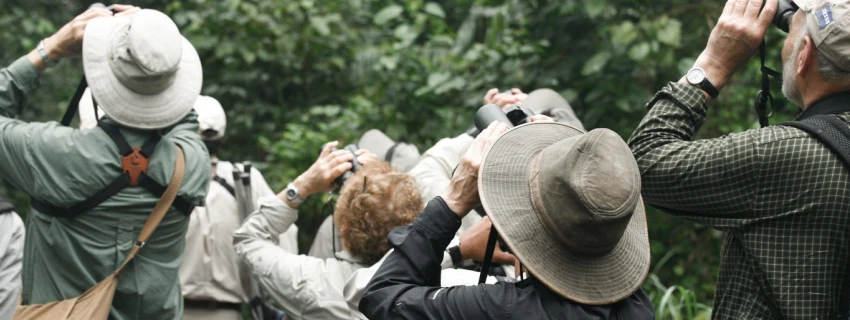 Eine Gruppe Menschen stehen im Wald und schauen durch ein Fernglas nach oben.