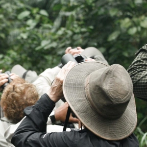 Eine Gruppe Menschen stehen im Wald und schauen durch ein Fernglas nach oben.