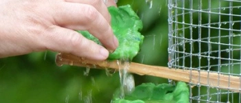 Ein Wasserbrunnen aus gekneteten schalen wird erweitert.