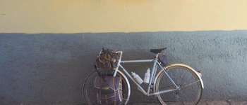Ein Fahrrad lehnt an einer Wand, die mit Skulpturen, von Wappen und einem Löwen, geschmückt ist