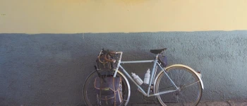 Ein Fahrrad lehnt an einer Wand, die mit Skulpturen, von Wappen und einem Löwen, geschmückt ist