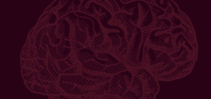 Mehr als nur Materie? Interessante Fakten über den menschlichen Körper. Bild zum Artikel.