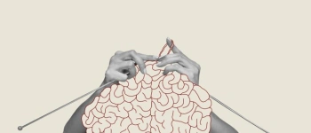 Zwei Hände stricken ein Gehirn.