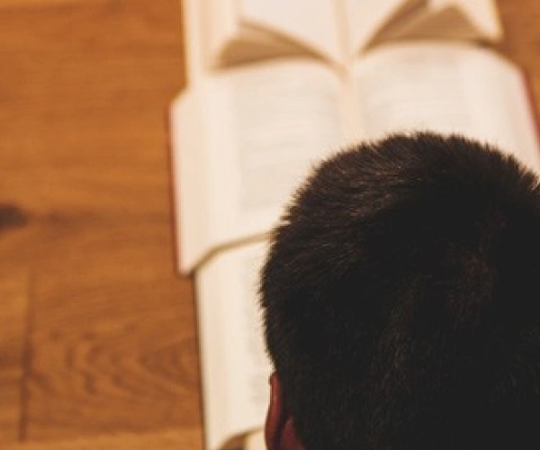 Ein Mensch hat Bücher in einer Reihe vor sich ausgebreitet.