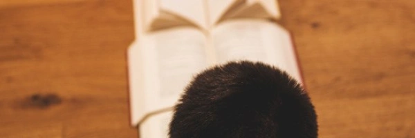 Ein Mensch hat Bücher in einer Reihe vor sich ausgebreitet.