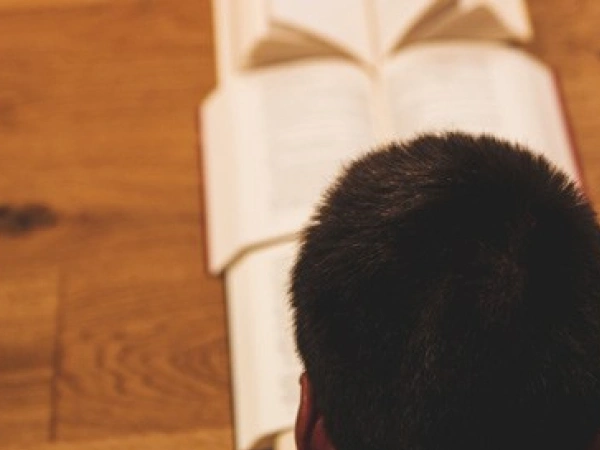 Ein Mensch hat Bücher in einer Reihe vor sich ausgebreitet.