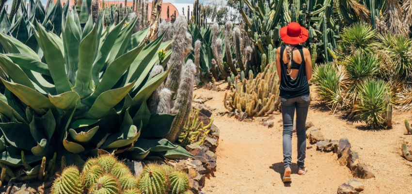 Die Wüste ist ein fruchtbarer Ort. Dein ernst? Bild einer Frau in der Wüste umgeben von Kakteen.
