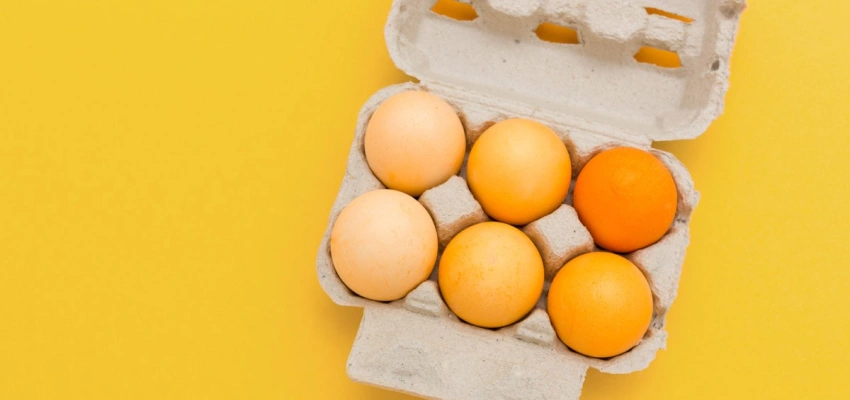 Jesus ist Herr. Sechs Dimensionen der Hingabe. Bild einer Eierpackung.