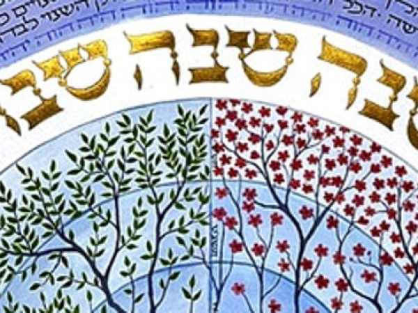 Schalom – Gottes Ziel mit der Welt. Von der Schöpfung bis zum Schabbat. Bild zum Artikel.