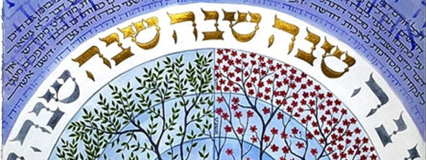 Schalom – Gottes Ziel mit der Welt. Von der Schöpfung bis zum Schabbat. Bild zum Artikel.