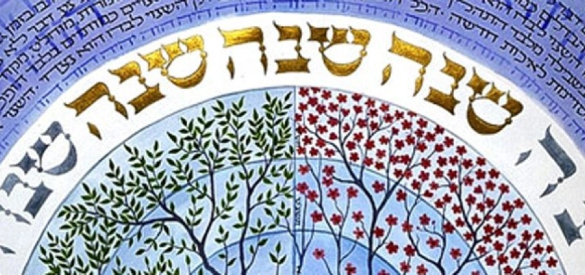 Schalom – Gottes Ziel mit der Welt. Von der Schöpfung bis zum Schabbat. Bild zum Artikel.