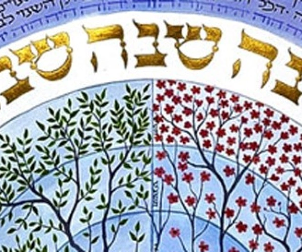 Schalom – Gottes Ziel mit der Welt. Von der Schöpfung bis zum Schabbat. Bild zum Artikel.